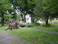 01-98 Helvey Tivadar